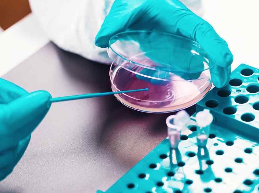 Analyses sérologiques